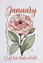 Load image into Gallery viewer, January Carnation Birth Flower Personality