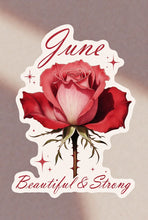 Load image into Gallery viewer, June Rose 02 Birth Flower Personality