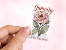 Load image into Gallery viewer, January Carnation Birth Flower Personality