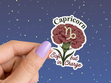 Load image into Gallery viewer, Capricorn Carnation Birth Flower Zodiac