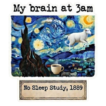 Load image into Gallery viewer, Starry Night Insomia Brain Chaotic Museum Art Painting